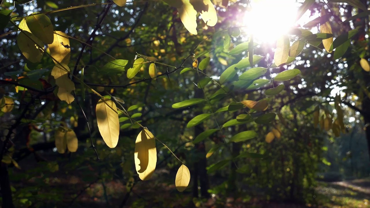 Day25 - 30 Days New You Challenge Malayalam