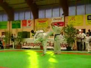 taekwondo 2008