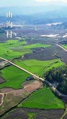 Before The Gold, Before The Name