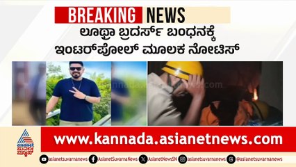 Lutra Brothers' Nightclub Incident and Interpol Notice