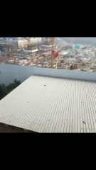 Prins Murchale PMLines