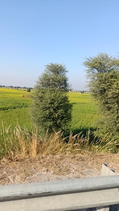 #kaha ja rhe ho