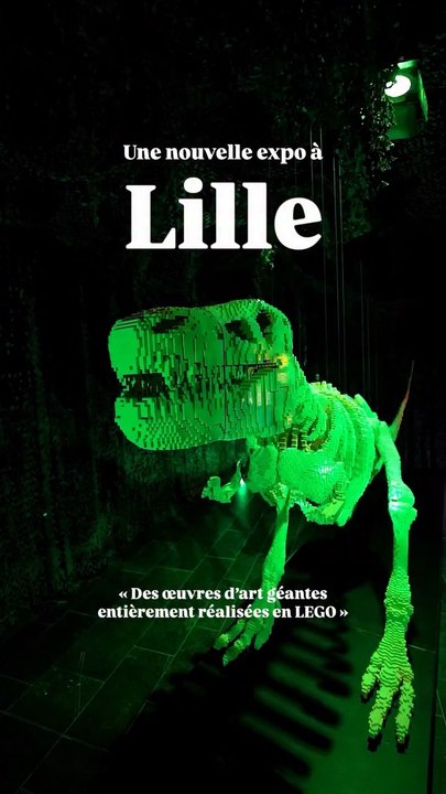 Art of the Brick, c’est l’exposition mondiale entièrement réalisée en LEGO qui débarque à Lille📍Euratechnologie, 165 avenue de Bretagne, Lille 59000🗓️ Décembre 2025🕞 9h - 19h💶 12,90€ 🧒 9,90€