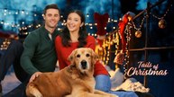 «Tails of Christmas» 2024 HD