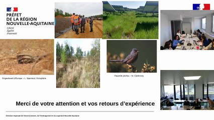 Webinaire DREAL espèces protégées 2025 - Doctrine hirondelles et bâti - DREAL Nouvelle-Aquitaine