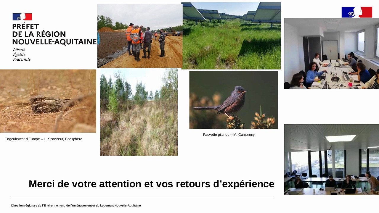 Webinaire DREAL espèces protégées 2025 - Doctrine hirondelles et bâti - DREAL Nouvelle-Aquitaine