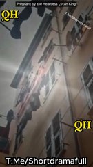 Pregnant by the Heartless Lycan King