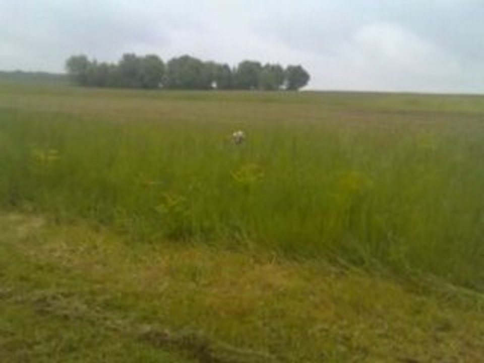 entrainement Vickie 24/05/08 (1)