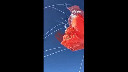 Un parachutiste accroché à la queue de son avion