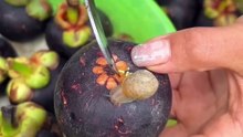 Le problème que cache le fruit plus délicieux au monde (mangosteen)