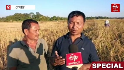 কেমেৰা-কলমৰ লগত সমানে চলিছে কাচি: পথাৰৰ লগতে বজাৰো দখলৰ লক্ষ্য দুই সংবাদকৰ্মীৰ