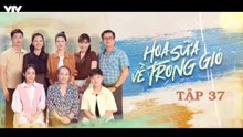 Hoa Sữa Về Trong Gió - tập 37 - HP Media