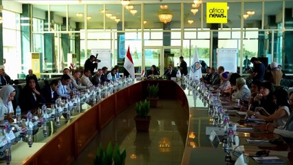 Égypte : des '' solutions à grande échelle'' face aux défis du développement ?