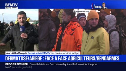 Plusieurs centaines d'agriculteurs mobilisés en Ariège contre l'abattage des vaches touchées par la dermatose bovine