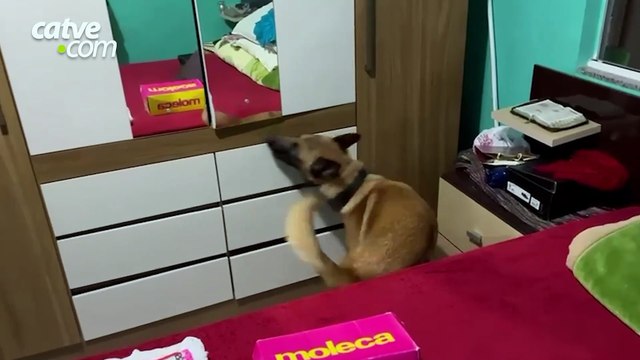 Grupo que distribuía drogas em cidades do Sudoeste é alvo de operação