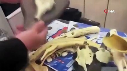 İstanbul'daki tarihi eser operasyonunda ele geçirilenler ''yok artık'' dedirtti