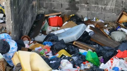 Autoridad de Aseo redobla operaciones ante el incremento del 25% de desechos durante las fiestas de fin de año