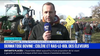 Dermatose bovine: "Il est impensable qu'on abatte 200 vaches alors qu'il n'y en a qu'une de malade", déclare Jérôme Fougassier, éleveur de bovin dans l'Aveyron