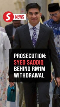 Syed Saddiq 'mastermind' in CBT case involving Armada fund, says prosecution