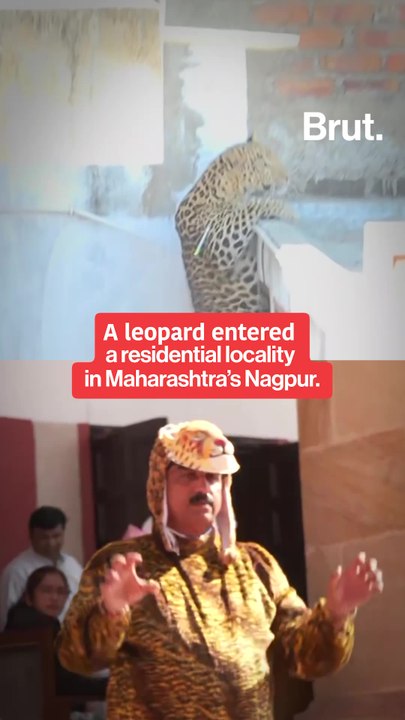 Here’s why this lawmaker stormed the Assembly dressed as a leopard…