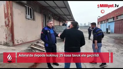 Adana'da depoda kokmuş 25 kasa tavuk ele geçirildi