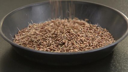 [녹색] 농촌진흥청 "현미, 뼈 건강에 우수한 효과 물질 함유" / YTN