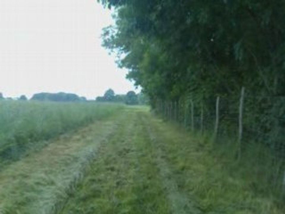 entrainement Vickie 24-05-08 (2)