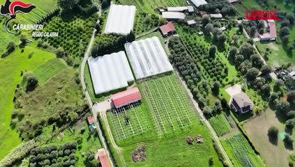 Reggio Calabria: 35 mila metri quadri serre abusive in area protetta, 4 denunce
