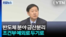 반도체 분야 금산분리 조건부 예외로 두기로 / YTN