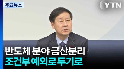 반도체 분야 금산분리 조건부 예외로 두기로 / YTN