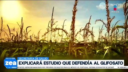 Secretaría de Salud deberá explicar defensa del glifosato | Noticias con Francisco Zea