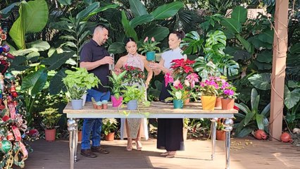 bd-cuidado-de-plantas-en-vacaciones-111225