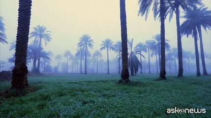 La nebbia che ferma l'Iraq è un (ulteriore) segnale che il climate change è qui e ora