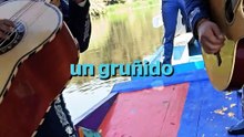 Así luce la trajinera de PS5 en Xochimilco | Reporte Indigo