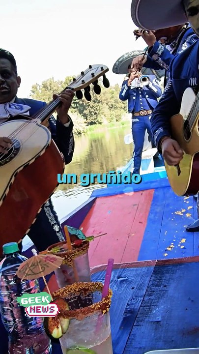 Así luce la trajinera de PS5 en Xochimilco | Reporte Indigo