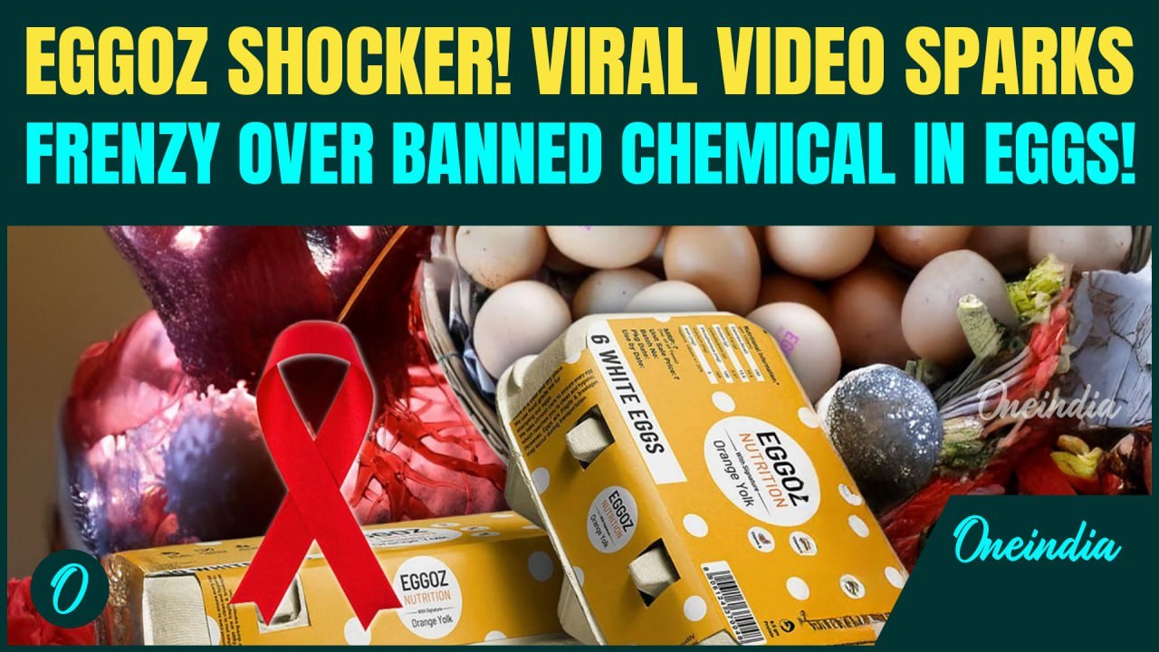 Eggs Cause CANCER? Eggoz Eggs CONTROVERSY Erupts - Eggoz Faces Backlash Over Viral Cancer Claim