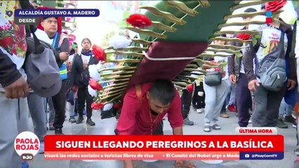 La fe que impulsa a miles a caminar rumbo a la Basílica | DPC con Paola Rojas