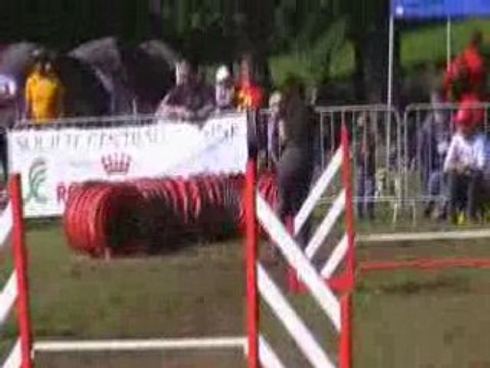 Vodka jumping FAR Sorinières