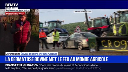 Dermatose bovine: "On va tuer des milliers d'animaux", lance Jérôme Bayle, éleveur de bovins en Haute-Garonne