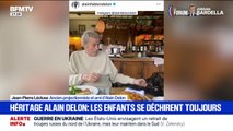 Héritage d'Alain Delon: 