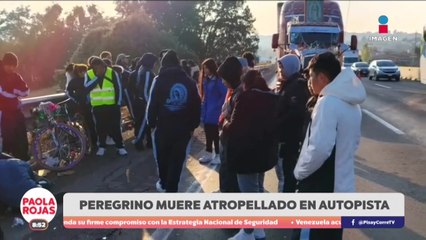 Peregrino muere atropellado en la México–Puebla | DPC con Paola Rojas