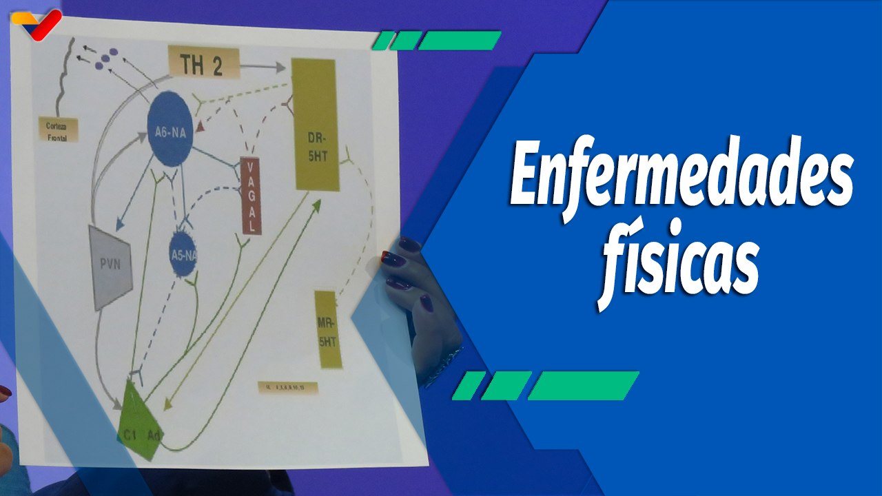 Actitud Saludable | Estrés y depresión asociada a las enfermedades