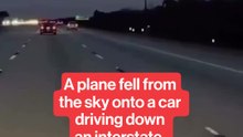 A plane fell from the sky onto a car driving down an interstate.