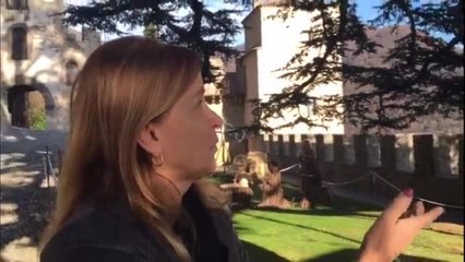 Treviso, l'albero di Natale più grande d'Italia è a Castelbrando: 34 metri di altezza e 700 lampadine per addobbarlo per festeggiare il Natale