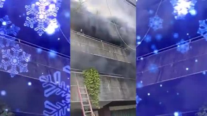 Mujer arriesga su vida por salvar a sus perros durante incendio