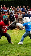 Epic Sword Fight! Chikki the Monkey vs Momo the Cat | Funny Action Battle | Viral Arena Shorts