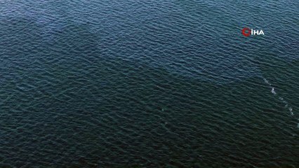 İzmir Körfezi'nde çevre kirliliği