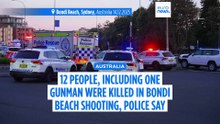 Bondi Beach shooters kill 15 in antisemitic attack on Hanukkah event