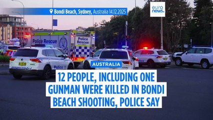 Bondi Beach shooters kill 15 in antisemitic attack on Hanukkah event