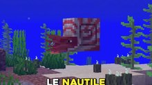 Le SECRET du NAUTILE 😱